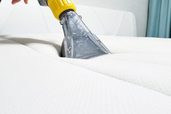 Untitled design (39)